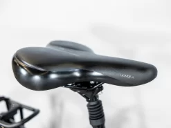 Trek District 2 EQ Lowstep S Pennyflake - WERKSTATT17 Bikeshop -Trek District2EquippedLowstep 23 33494 B Alt4