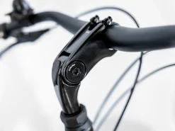 Trek District 2 EQ Lowstep S Pennyflake - WERKSTATT17 Bikeshop -Trek District2EquippedLowstep 23 33494 B Alt5