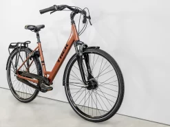 Trek District 2 EQ Lowstep S Pennyflake - WERKSTATT17 Bikeshop