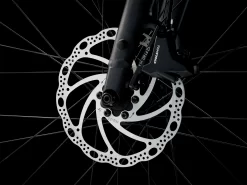 Trek Dual Sport 2 L Juniper - WERKSTATT17 Bikeshop -Trek DualSport2 23 36823 C Alt4