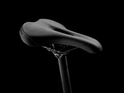 Trek Dual Sport 2 L Juniper - WERKSTATT17 Bikeshop -Trek DualSport2 23 36823 C Alt6