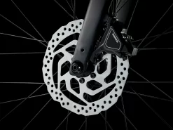 Trek Dual Sport 3 M Black Olive - WERKSTATT17 Bikeshop -Trek DualSport3 23 36826 A Alt4