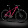Trek Marlin 4 XXL 29 Magenta - WERKSTATT17 Bikeshop -Trek Marlin4 22 29759 C Portrait