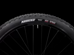 Trek Marlin 8 L 29 Crimson - WERKSTATT17 Bikeshop -Trek Marlin8 23 36969 B Alt4