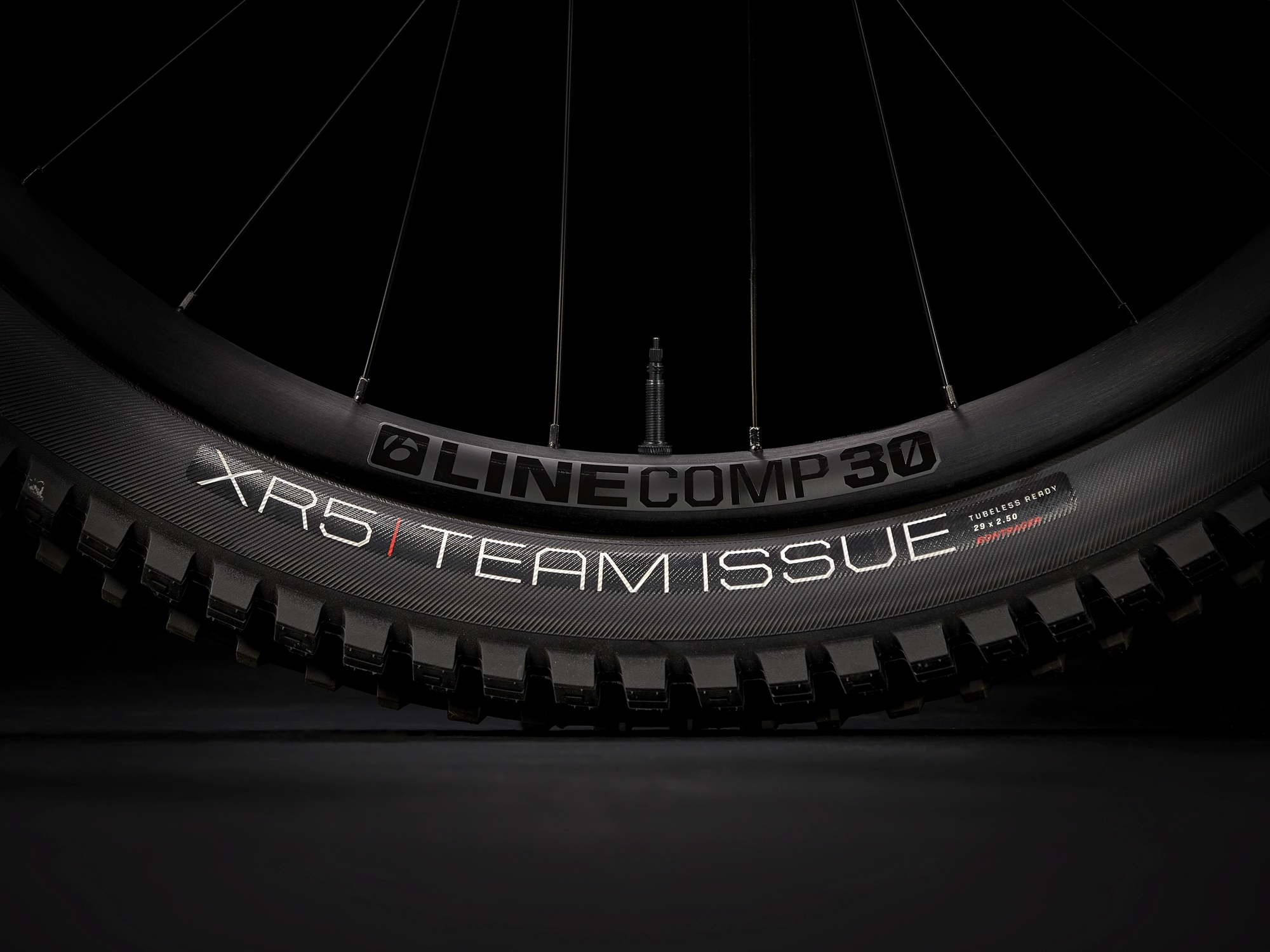 Trek Slash 8 GX L 29 Pennyflake - WERKSTATT17 Bikeshop 8 Trek Slash 8 GX L 29 Pennyflake - WERKSTATT17 Bikeshop – Bild 6