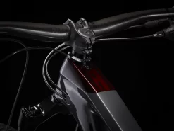 Trek Slash 9.8 XT XL 29 Lithium Grey - WERKSTATT17 Bikeshop -Trek Slash98XT 22 35388 A Alt6