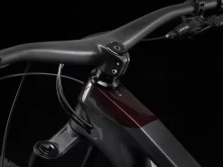 Trek Slash 9.9 XTR XL 29 Lithium Grey - WERKSTATT17 Bikeshop -Trek Slash99XTR 22 35220 A Alt6