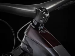 Trek Slash 9.9 XX1 FA XL 29 Lithium Grey - WERKSTATT17 Bikeshop -Trek Slash99XX1FA 22 36413 A Alt6